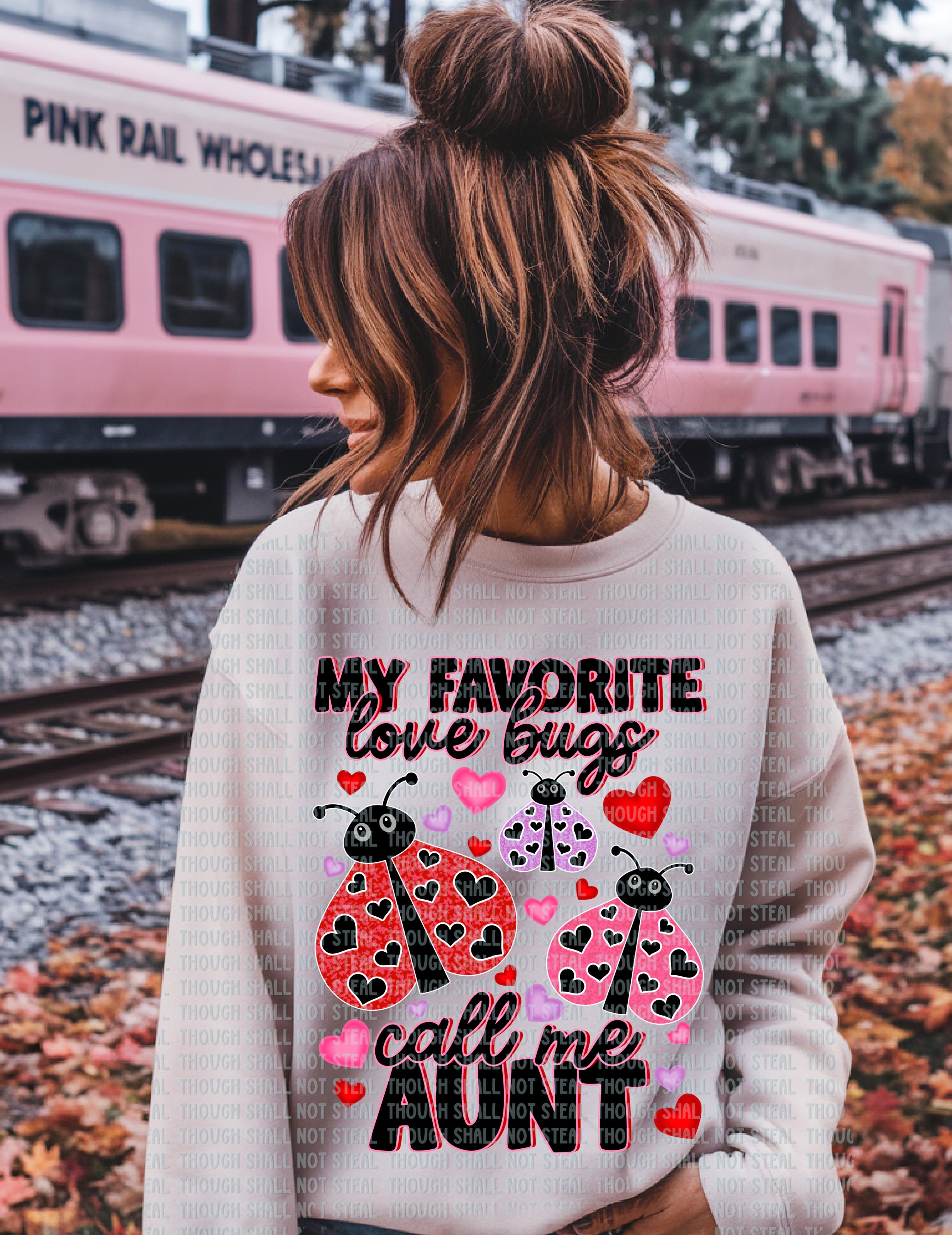 02-417 F My favorite Love Bugs call me Aunt DTF TRANSFER ONLY