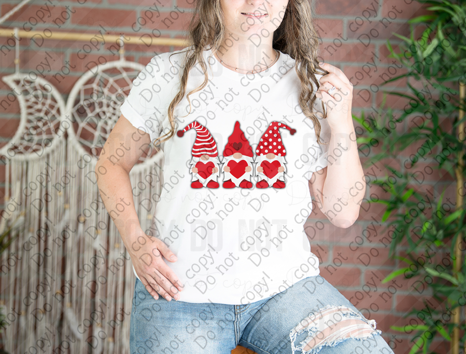 02-521 Valentine Gnomes tee