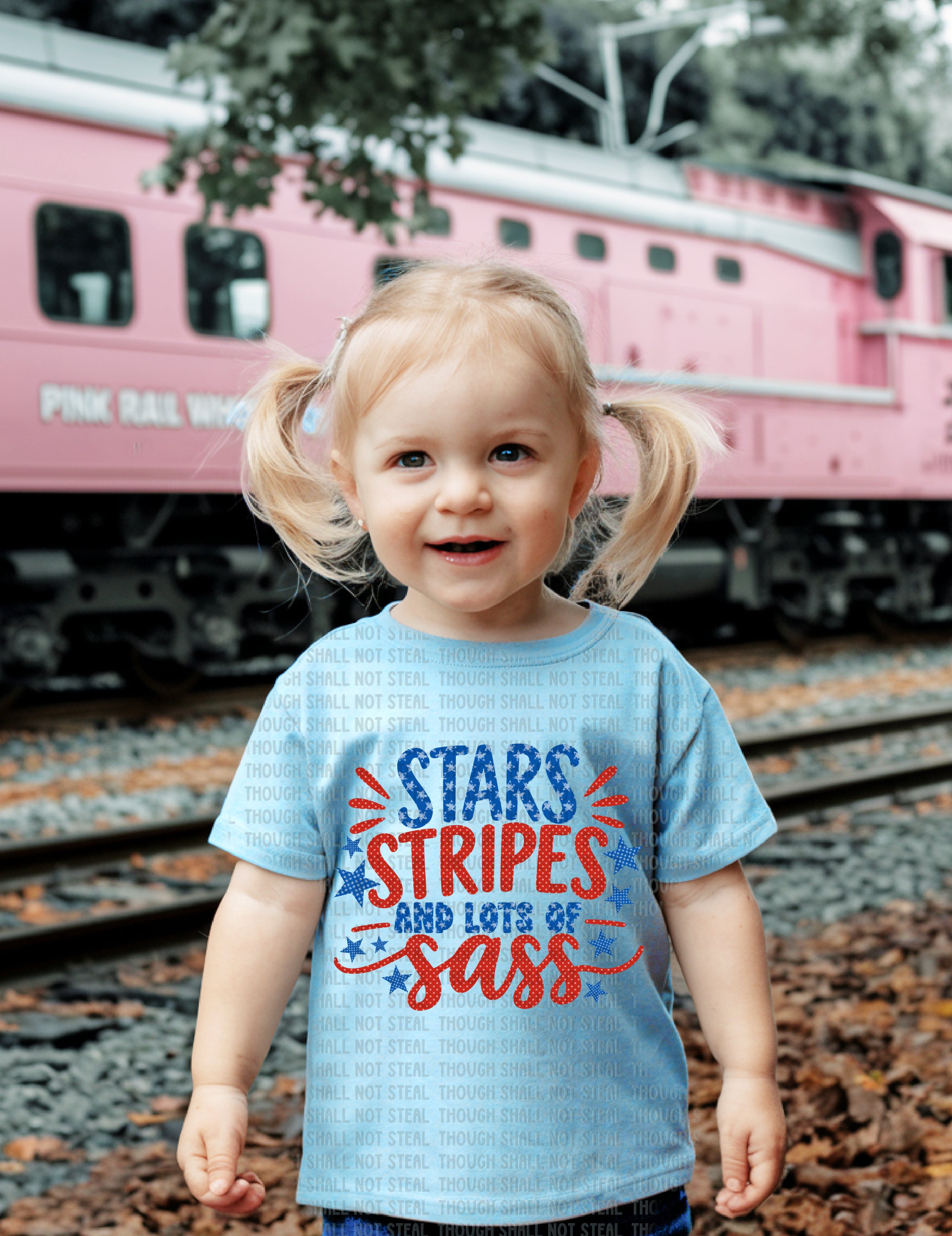 07-265 Stars Stripes and lots of Sass Completed Tee
