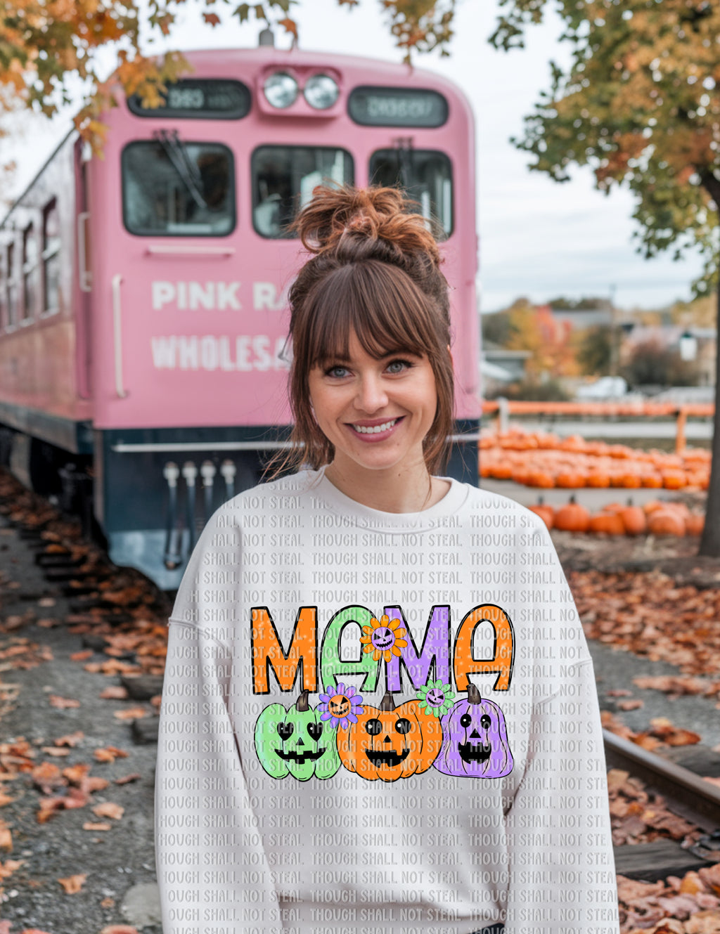 10-253 Pastel_Pumpkins (1 of 3) DTF Transfer ONLY