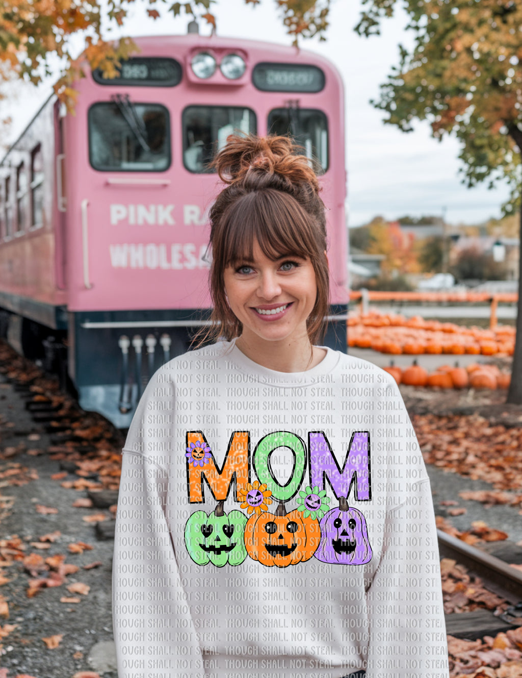 10-253 Pastel_Pumpkins (1 of 3) DTF Transfer ONLY