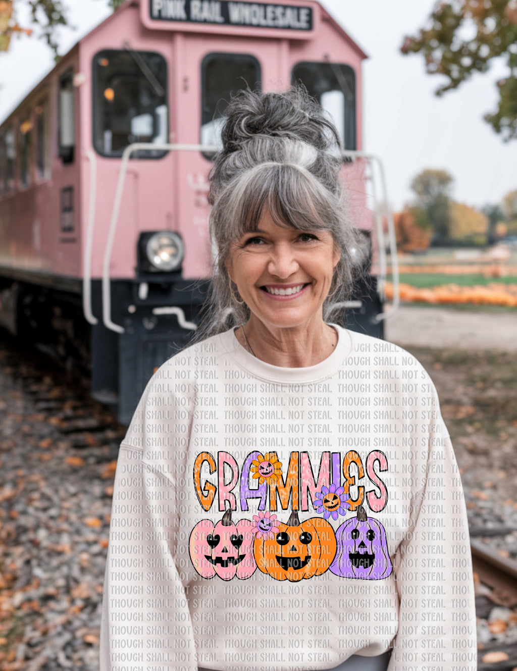 10-253 Pastel_Pumpkins (1 of 3) DTF Transfer ONLY