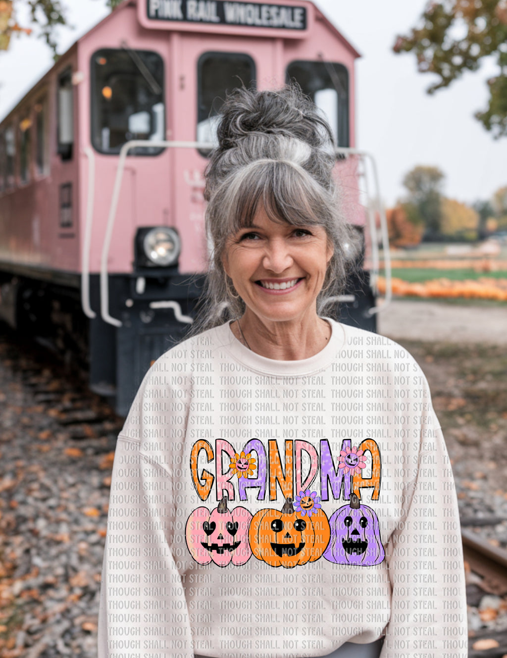 10-253 Pastel_Pumpkins (1 of 3) DTF Transfer ONLY