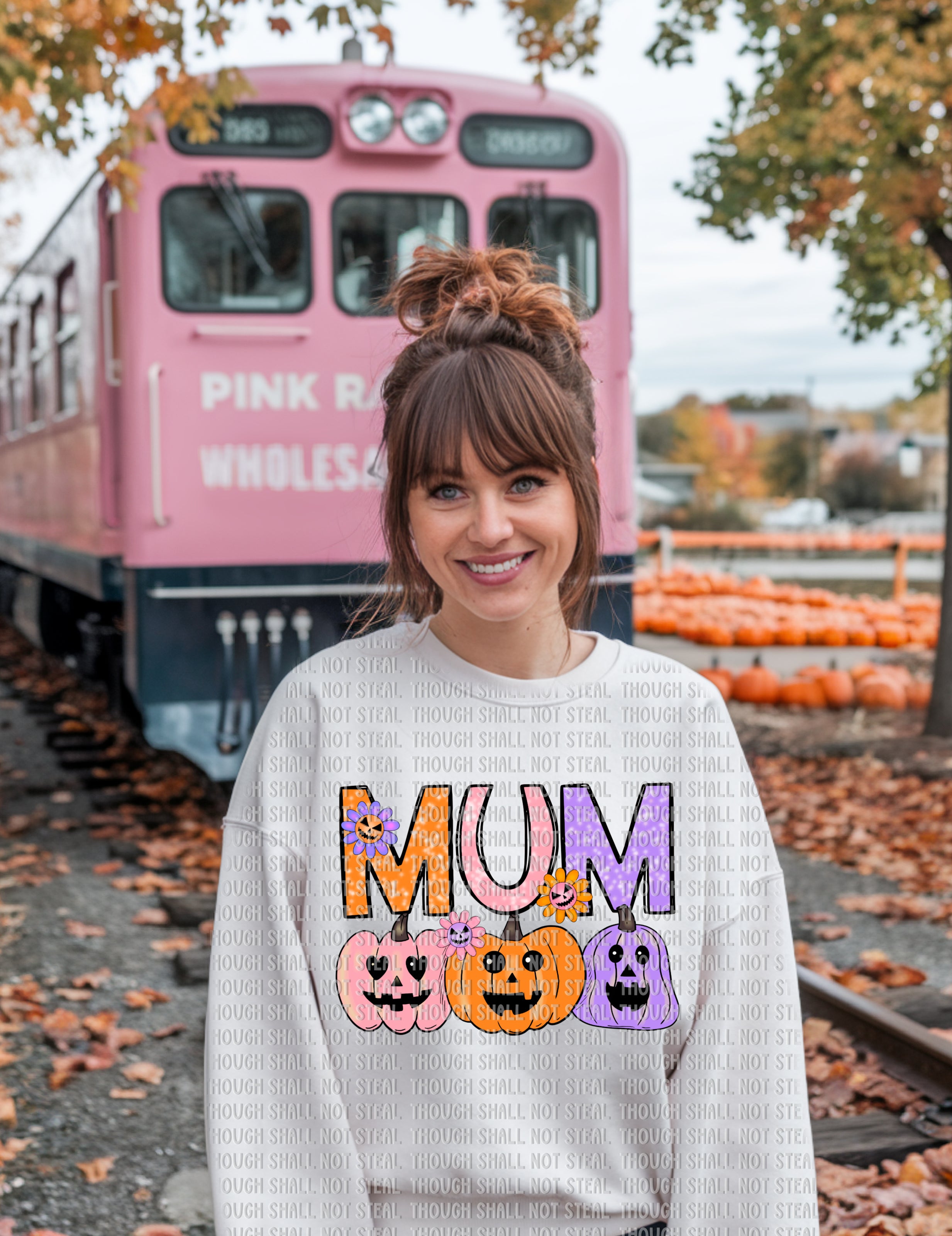 10-253 Pastel_Pumpkins (2 of 3) Completed Tee