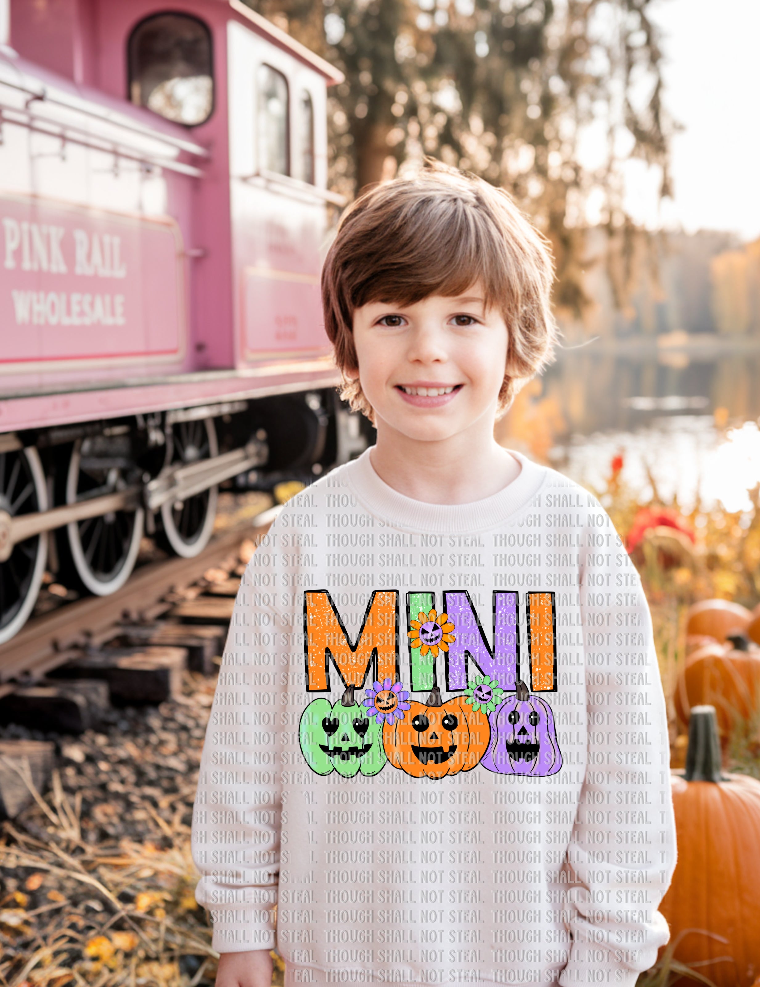 10-253 Pastel_Pumpkins (2 of 3) DTF Transfer ONLY