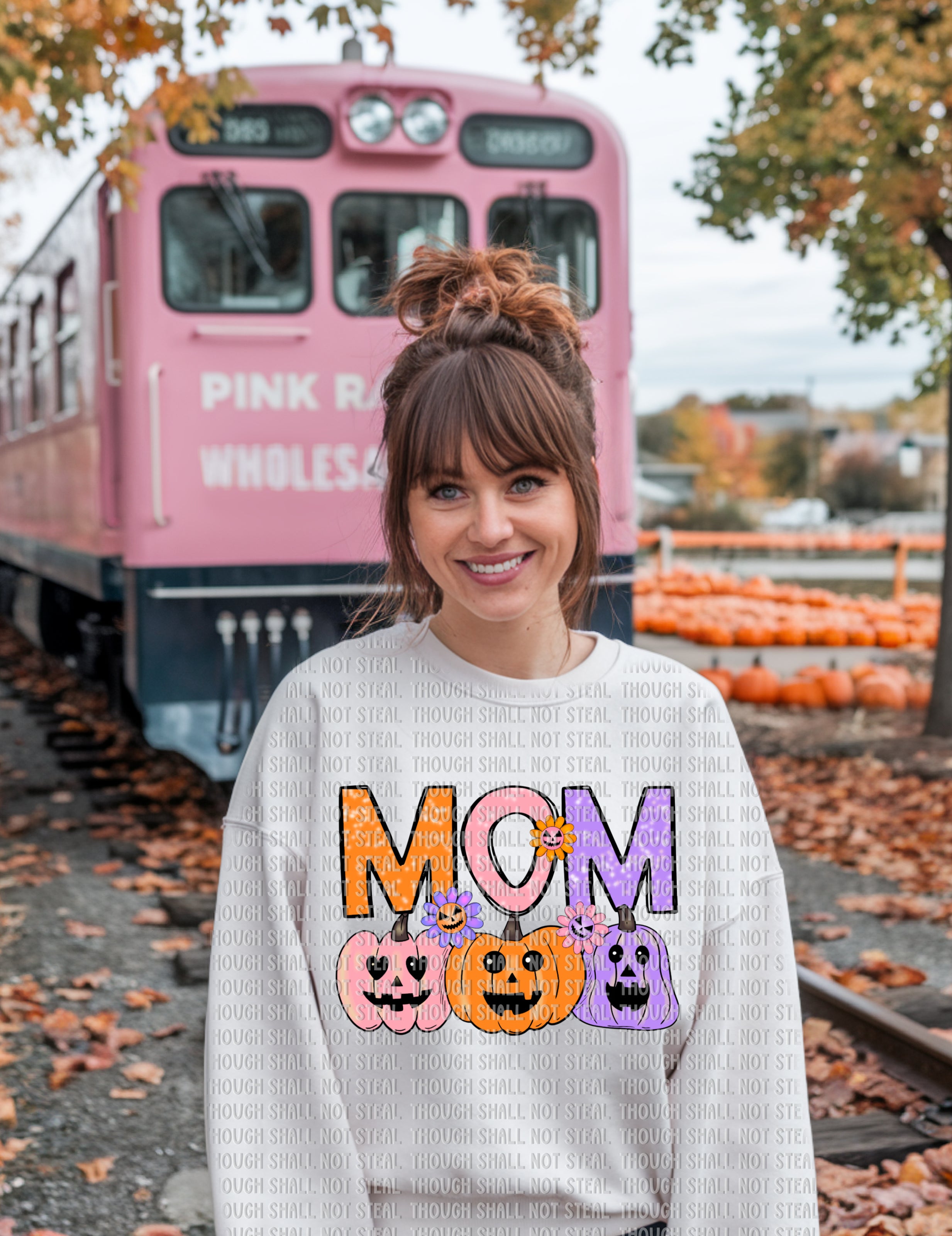 10-253 Pastel_Pumpkins (3 of 3) DTF Transfer ONLY