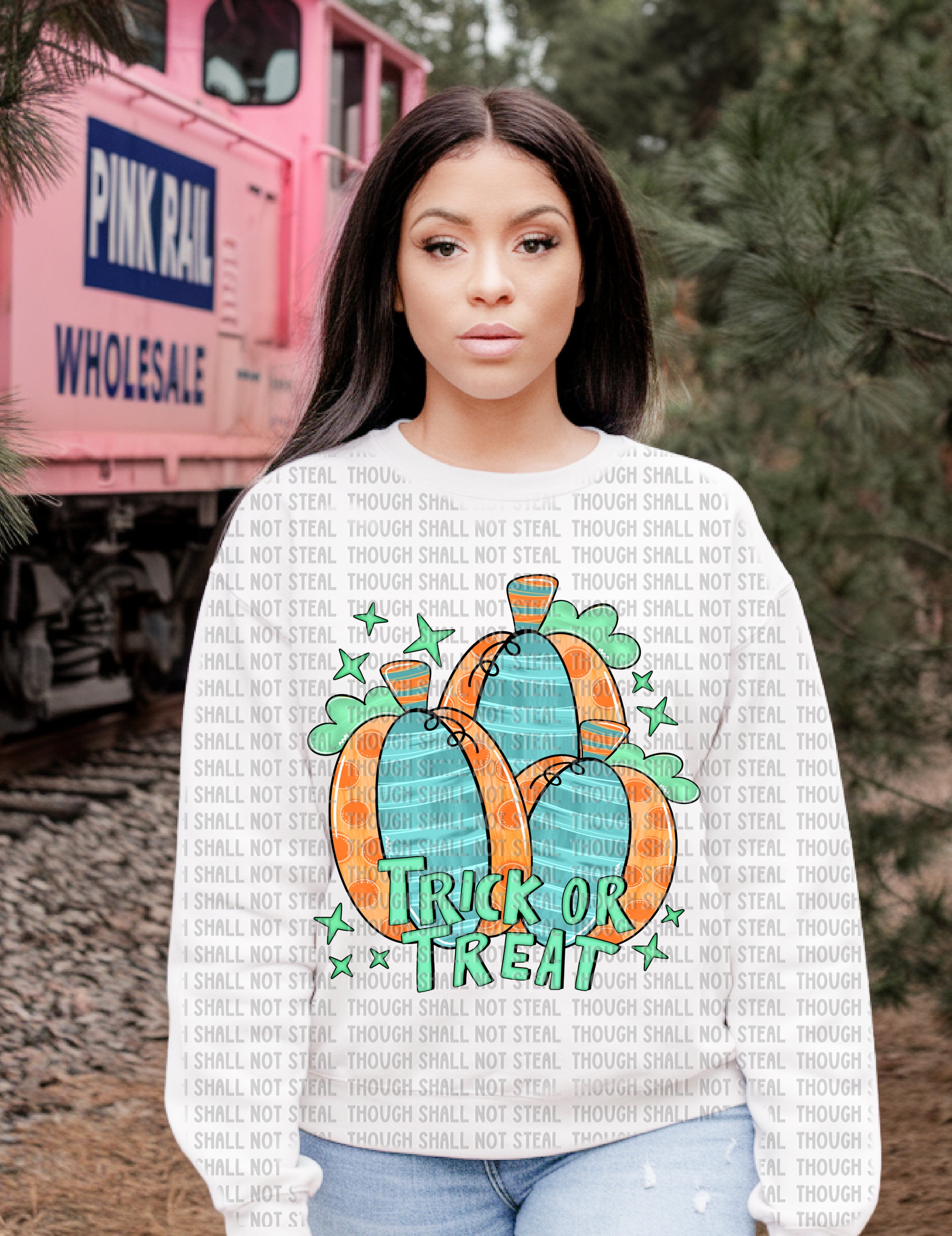 10-263 Trick or Treat doodled Pumpkins DTF Transfer ONLY