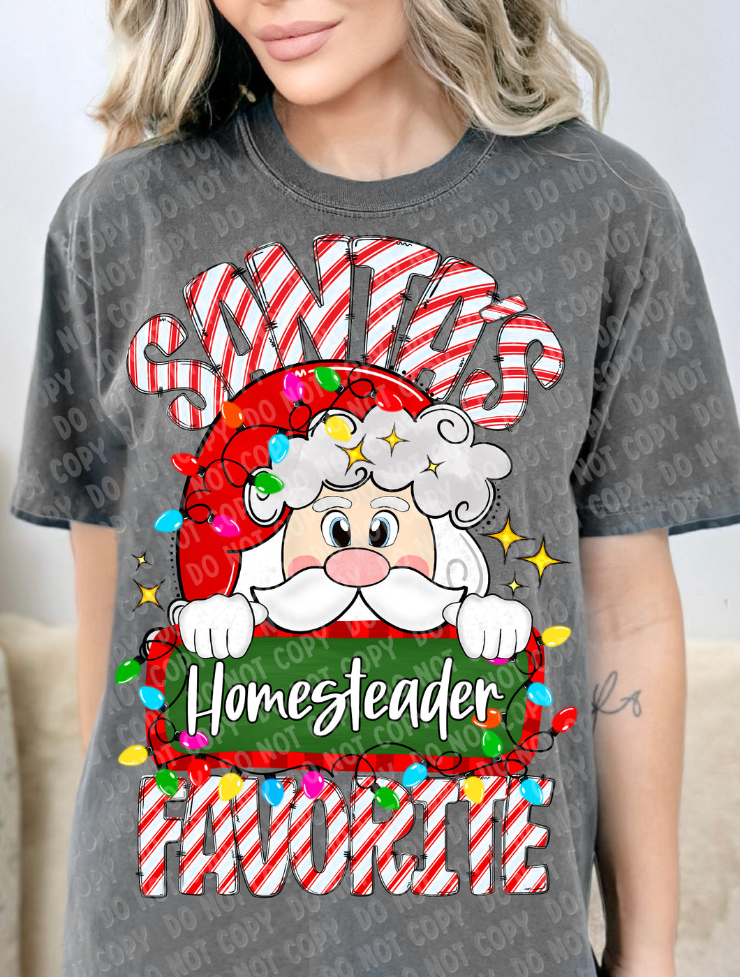 12-270-V Homesteader - Santa_s Favorite DTF TRANSFER ONLY