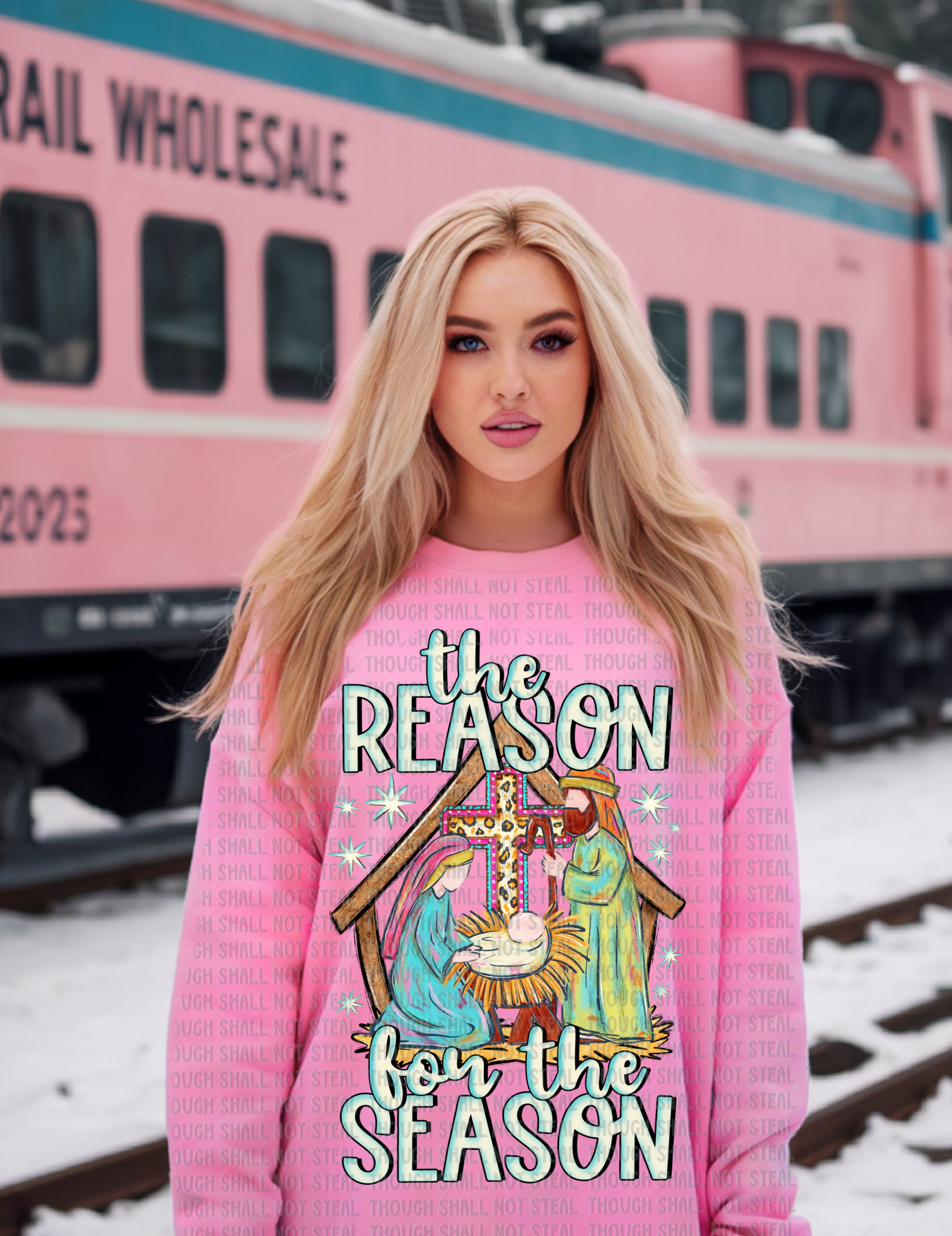 12-538 The reason for the Season Completed Tee