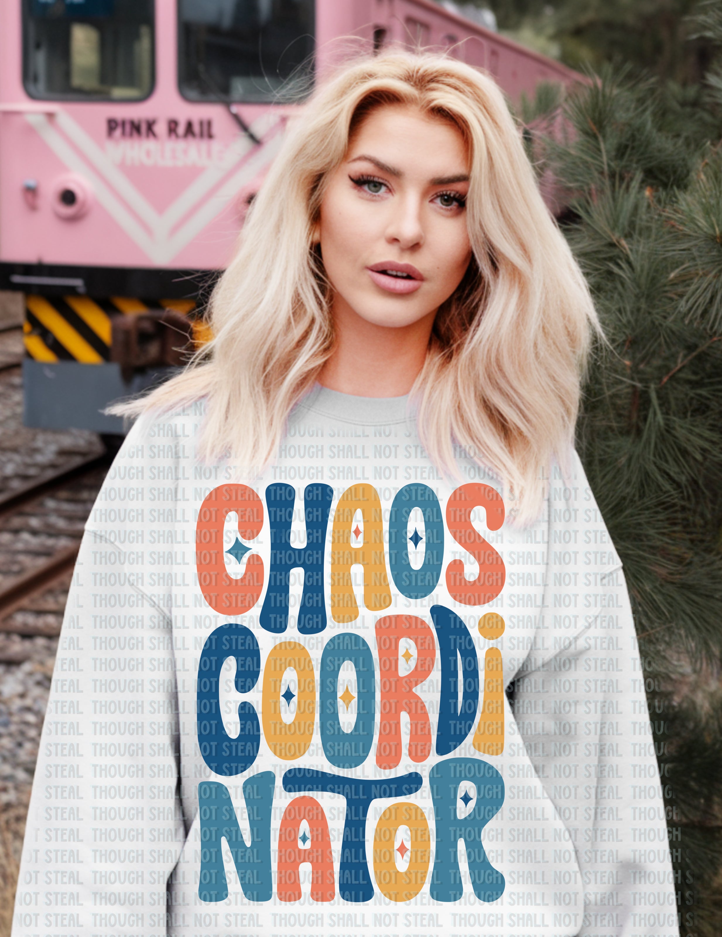 18-29 Masculine - Chaos Coordinator DTF TRANSFER ONLY