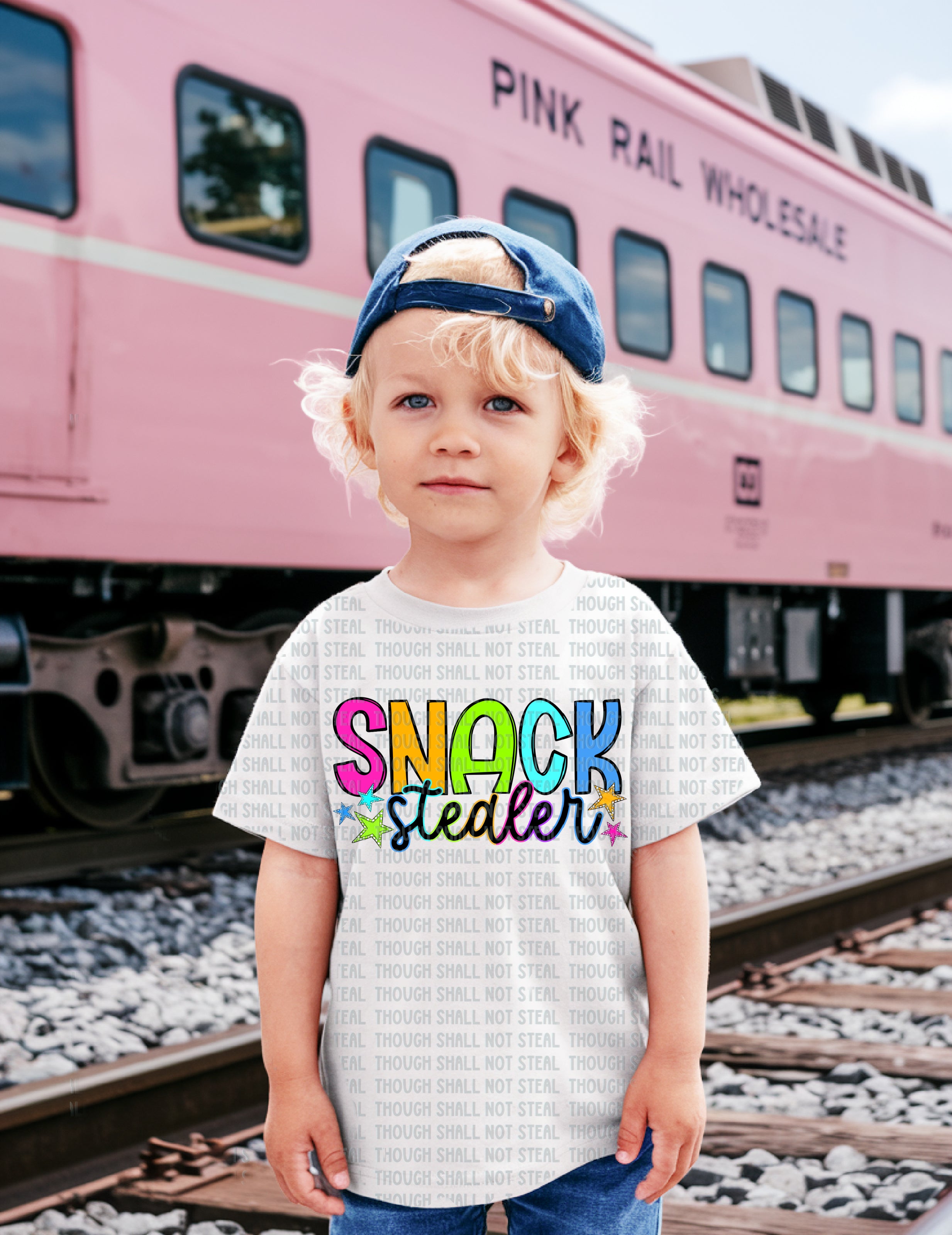 18-34 Snack Stealer Completed Tee