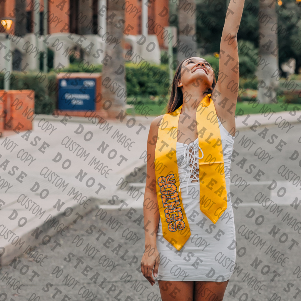 22-20 Senior Basketball DTF TRANSFER ONLY