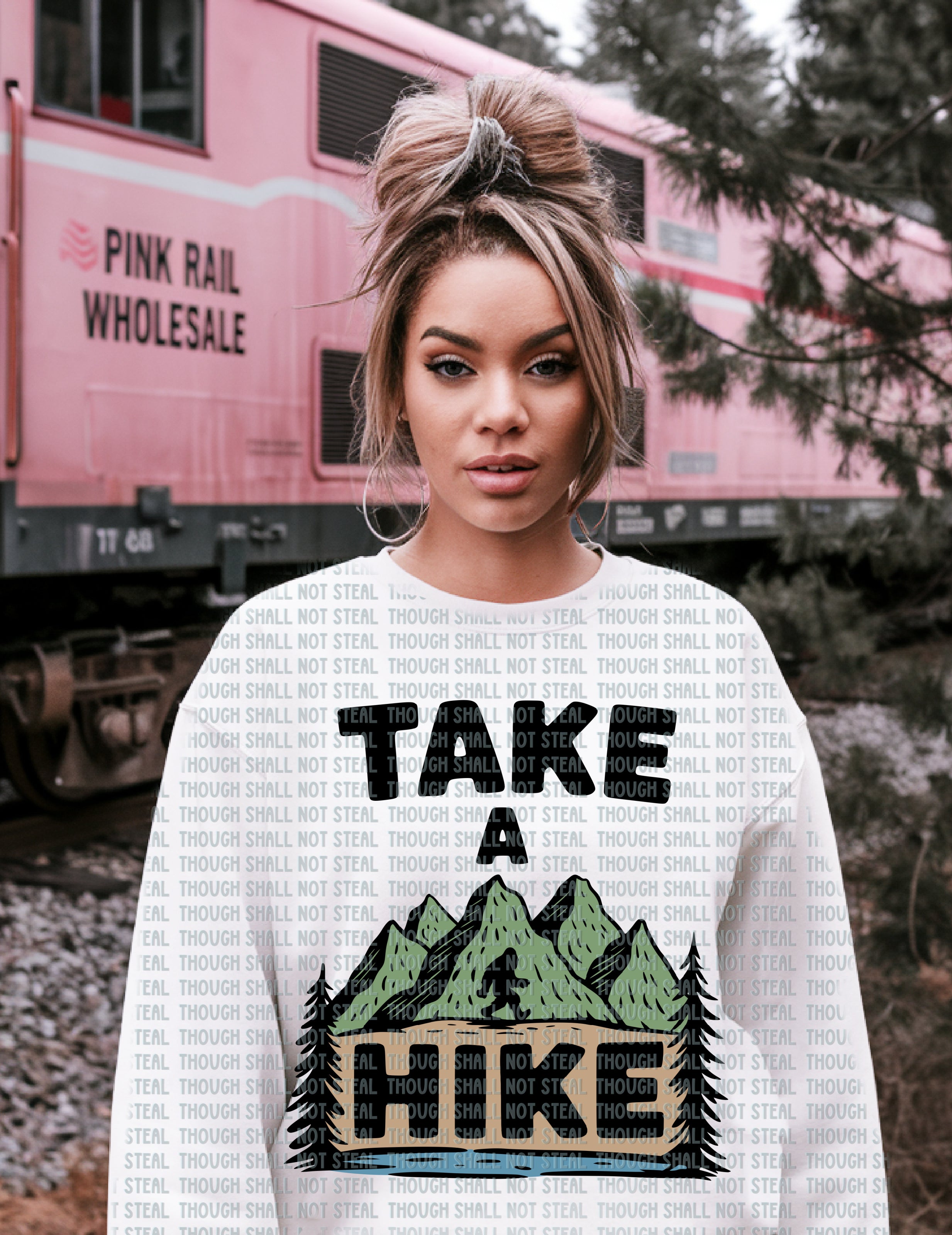 55-30 B Colored - Take a Hike DTF TRANSFER ONLY