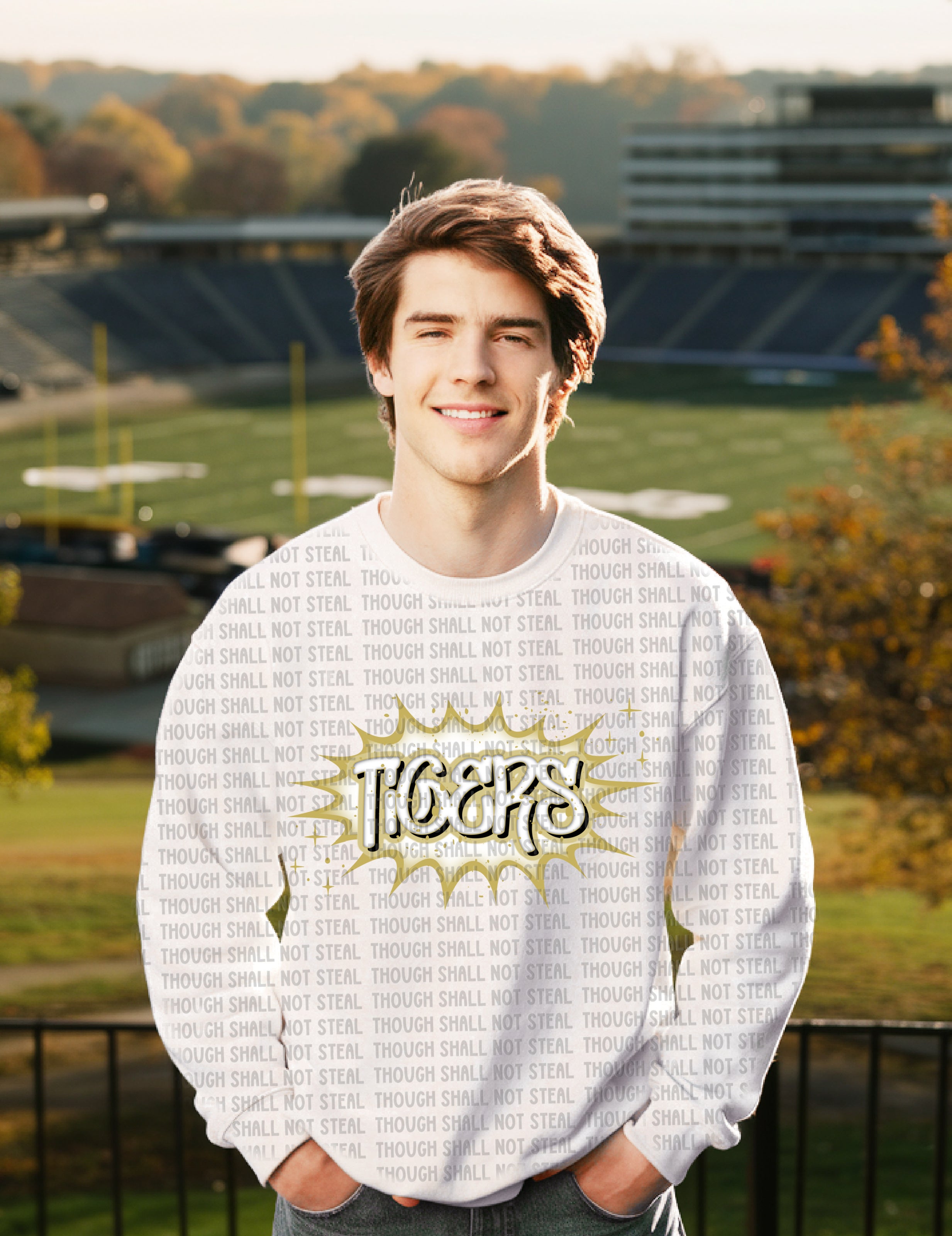61-14 B Graffiti Burst - Tigers tee