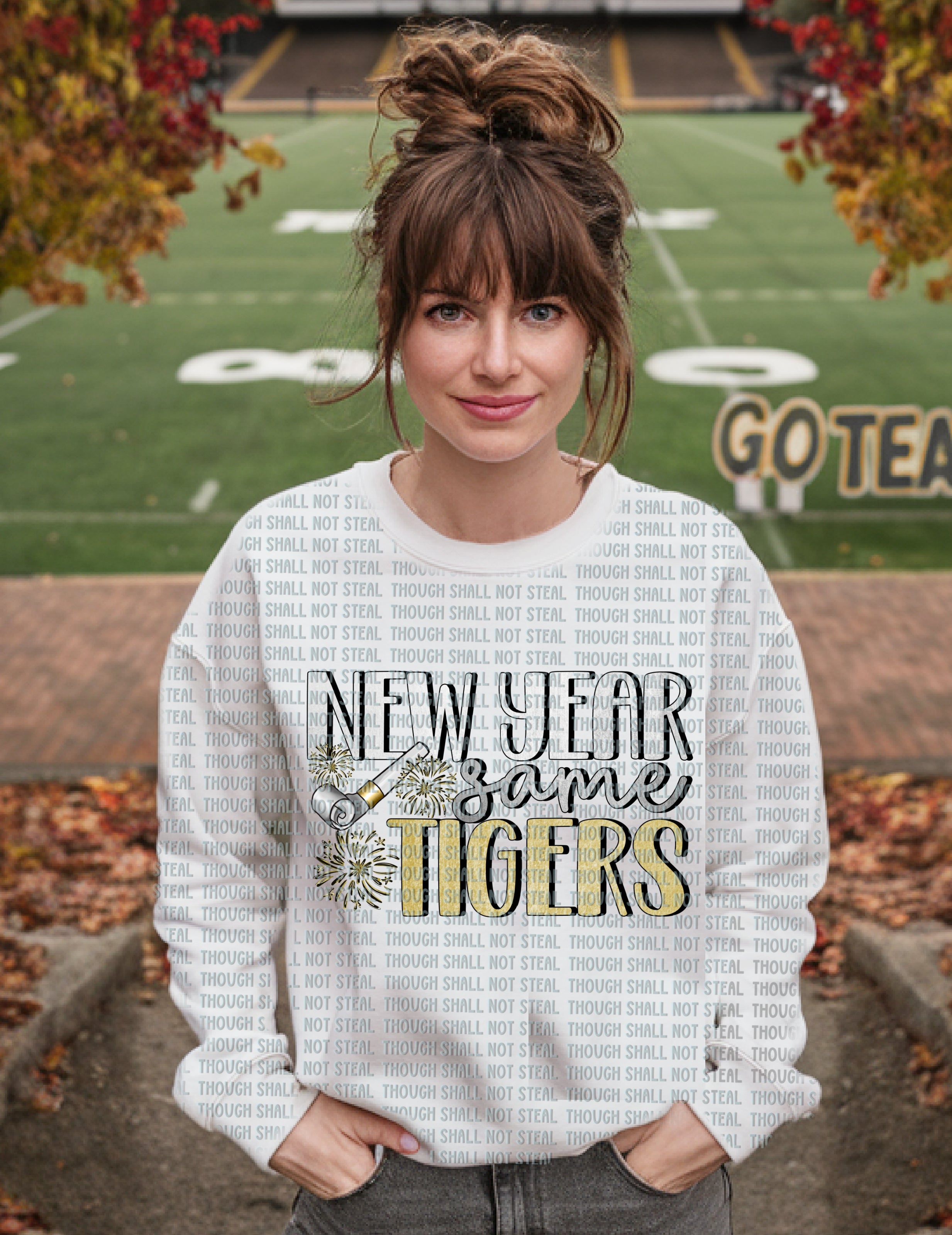 61-18 New year same Tigers DTF TRANSFER ONLY
