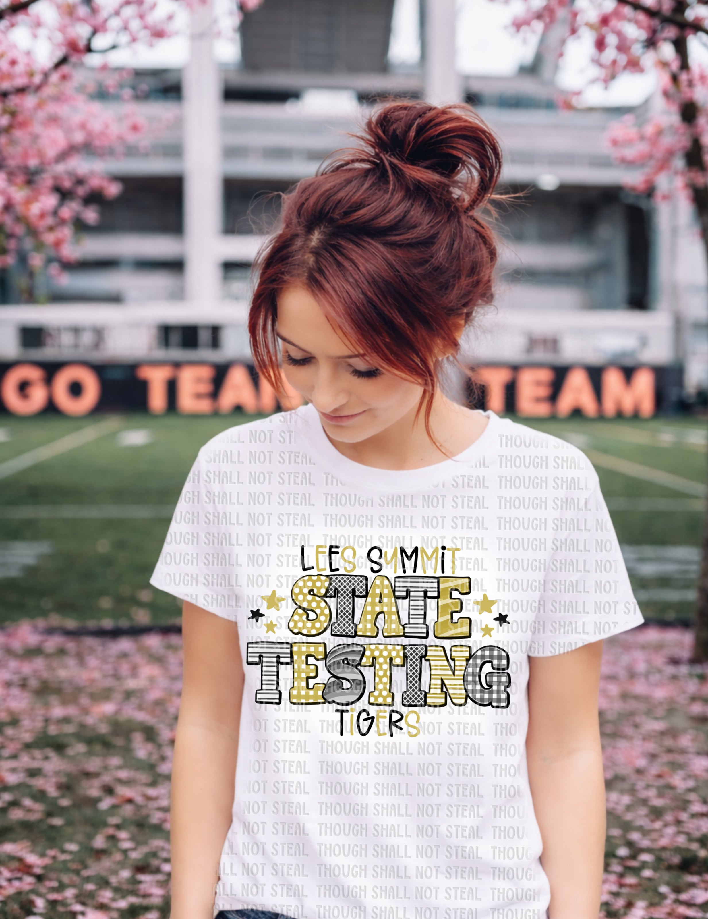 61-34 Lees Summit Tigers - State Testing DTF TRANSFER ONLY