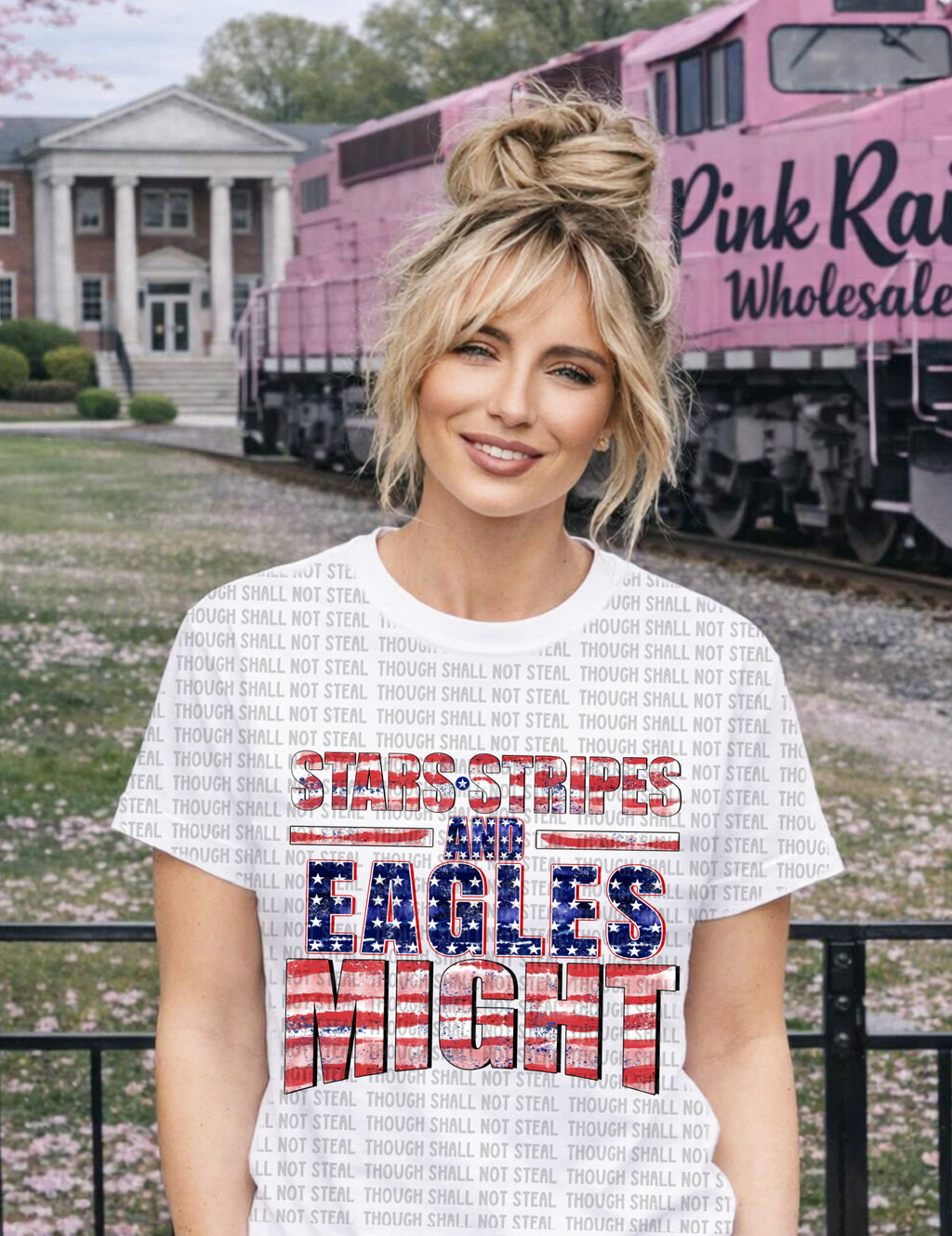 64-28 Eagles - Stars, stripes, and might Completed Tee