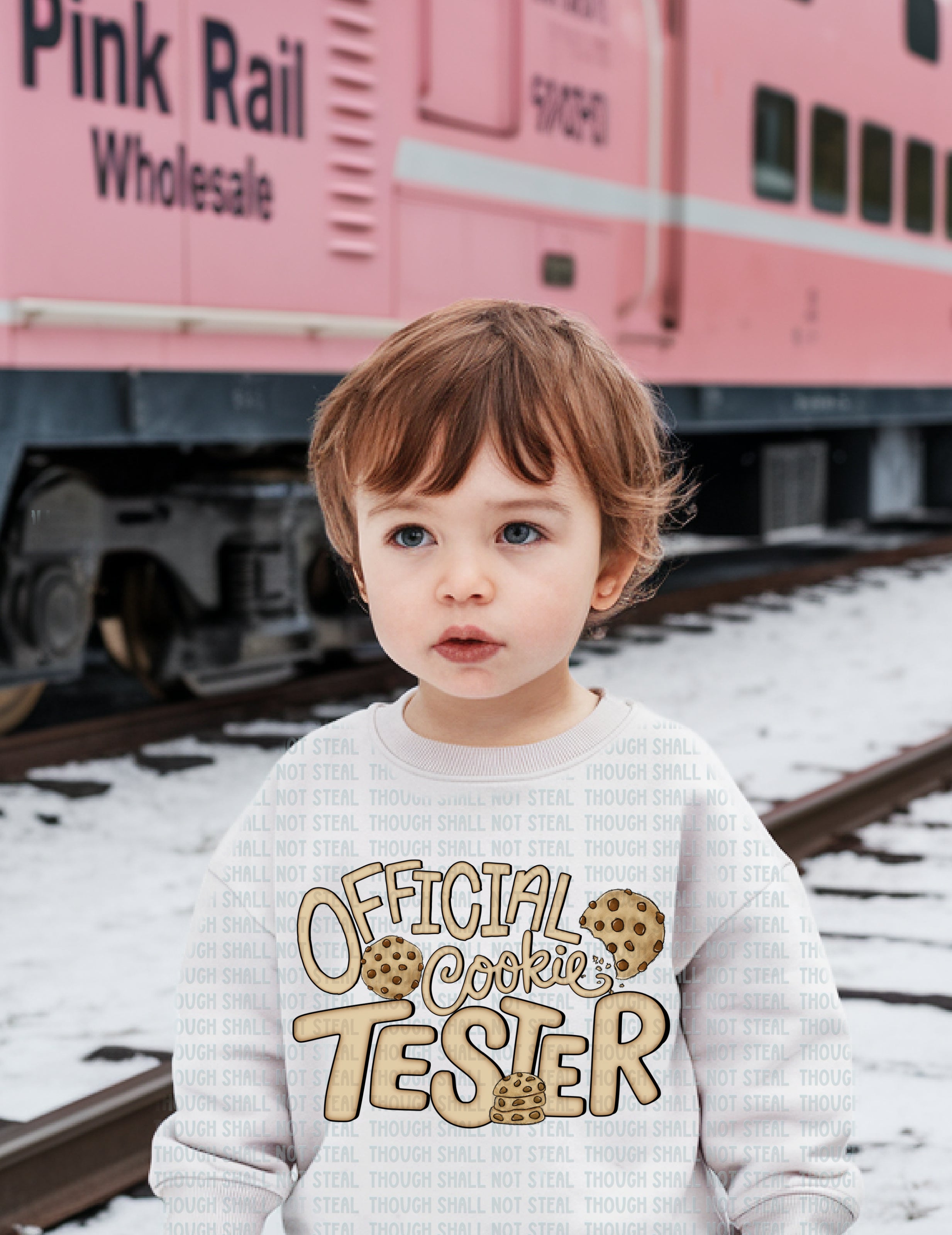 C-30 A Chocolate chip cookies - Official Cookie Tester DTF Transfer ONLY