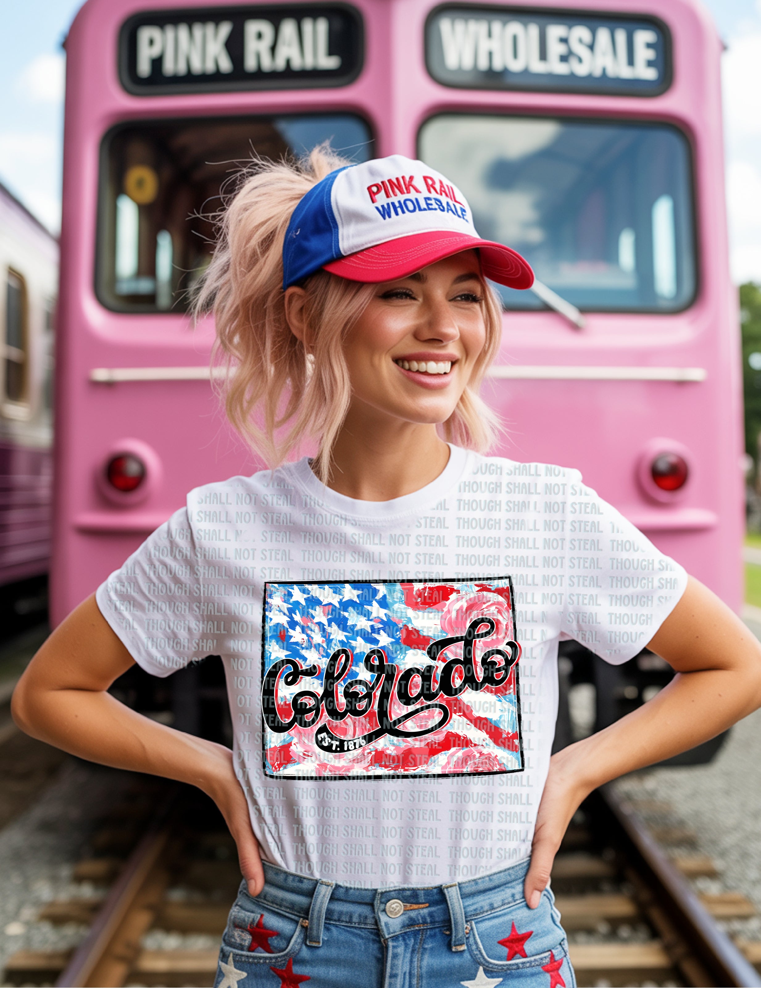 F-03 Patriotic State CHOOSE YOUR STATE (A-D) Completed Tee