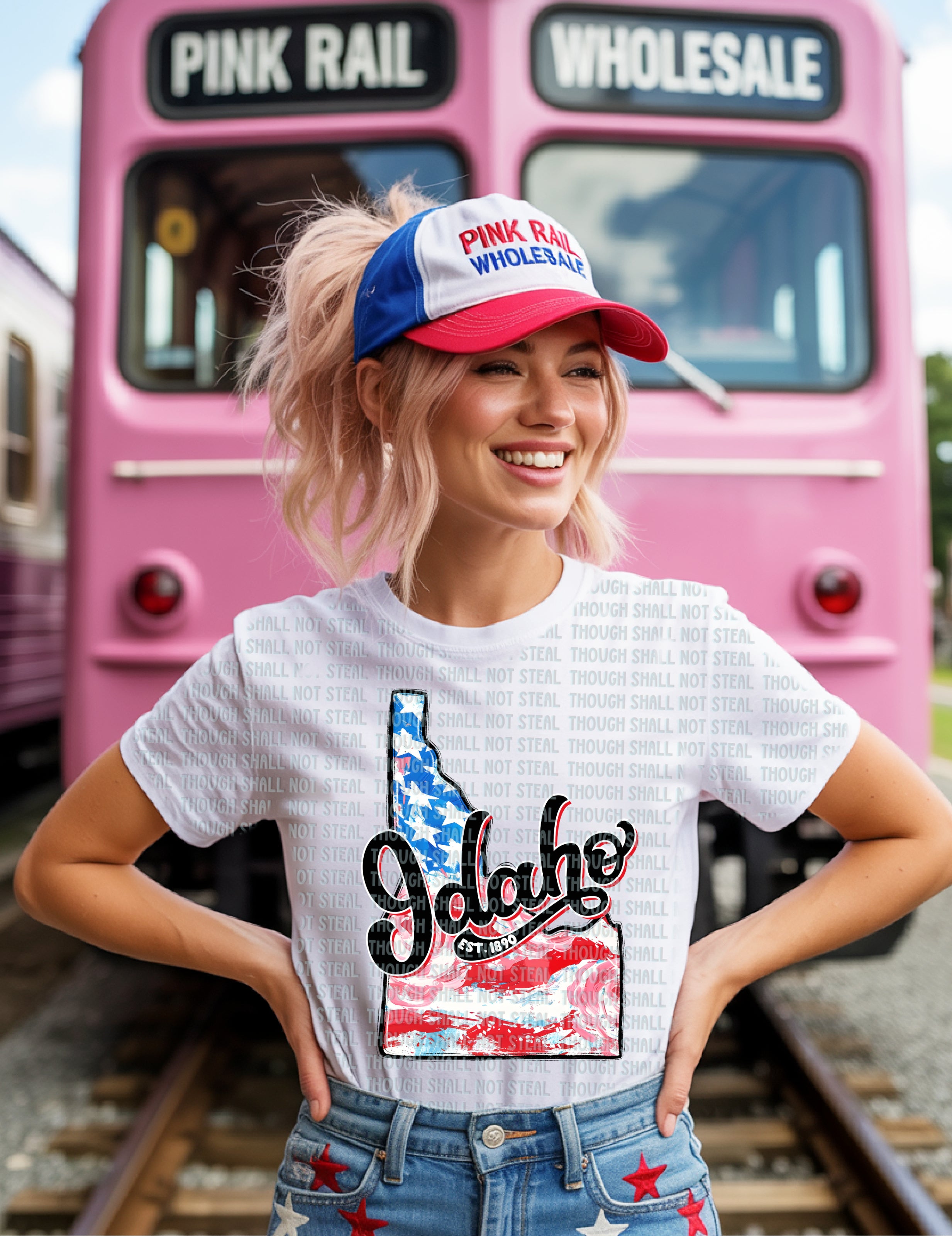 F-03 Patriotic State CHOOSE YOUR STATE (F-K) Completed Tee