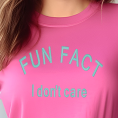 Fun Fact: I Don't Care Embroidery Shirt