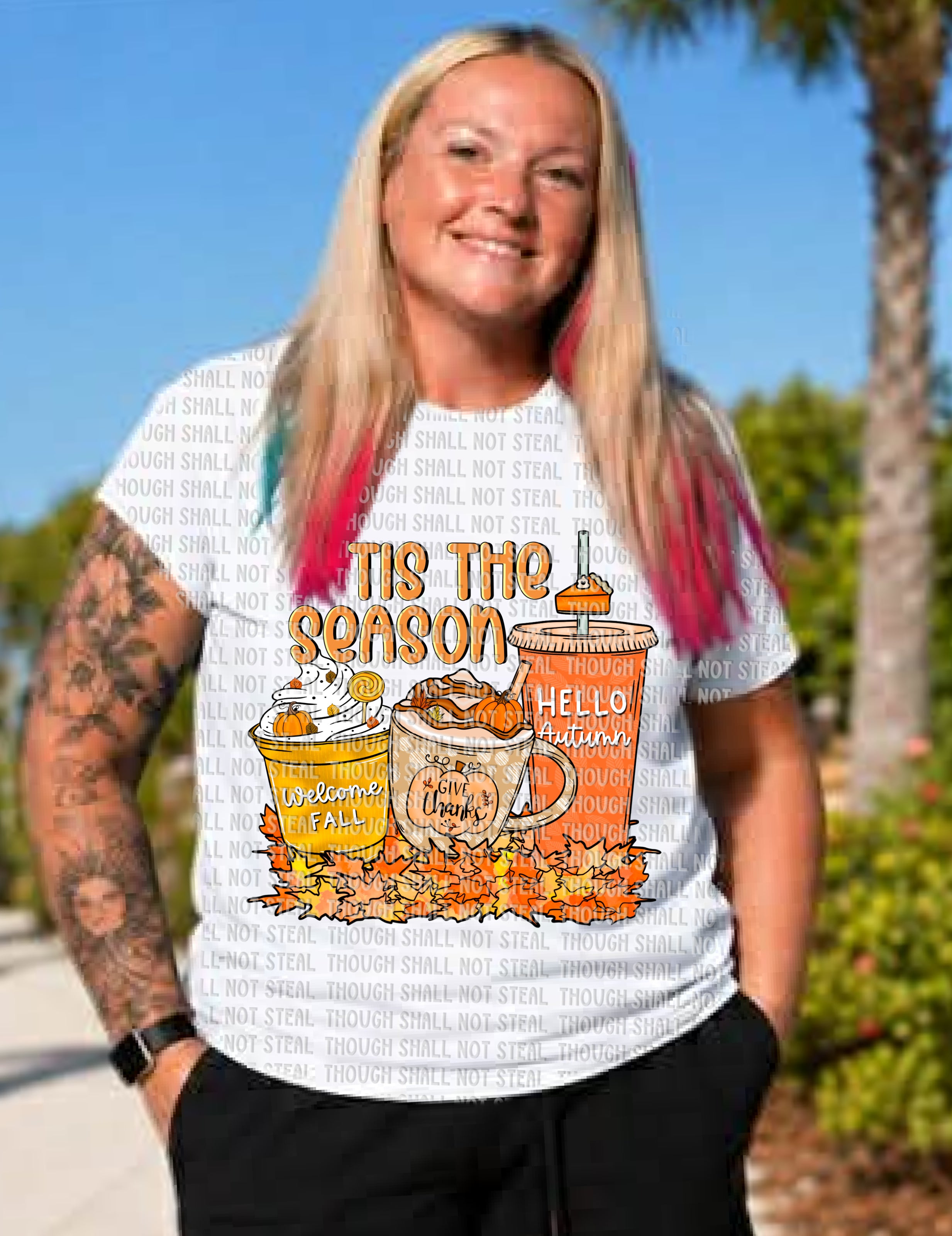 I-113 Tis the season DTF TRANSFER ONLY