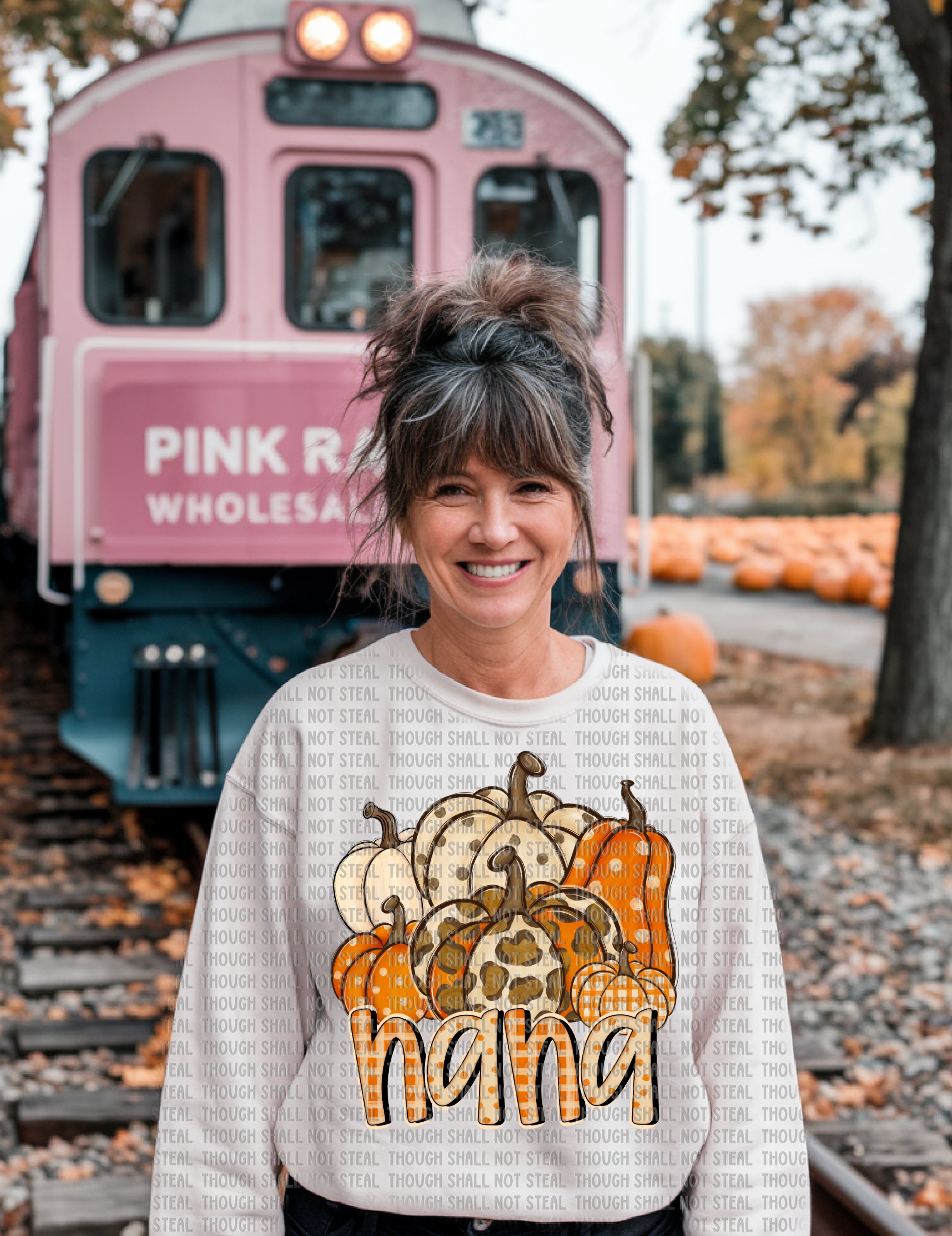 I-90 Fall Pumpkins (Choose Type 1 of 2) Completed Tee