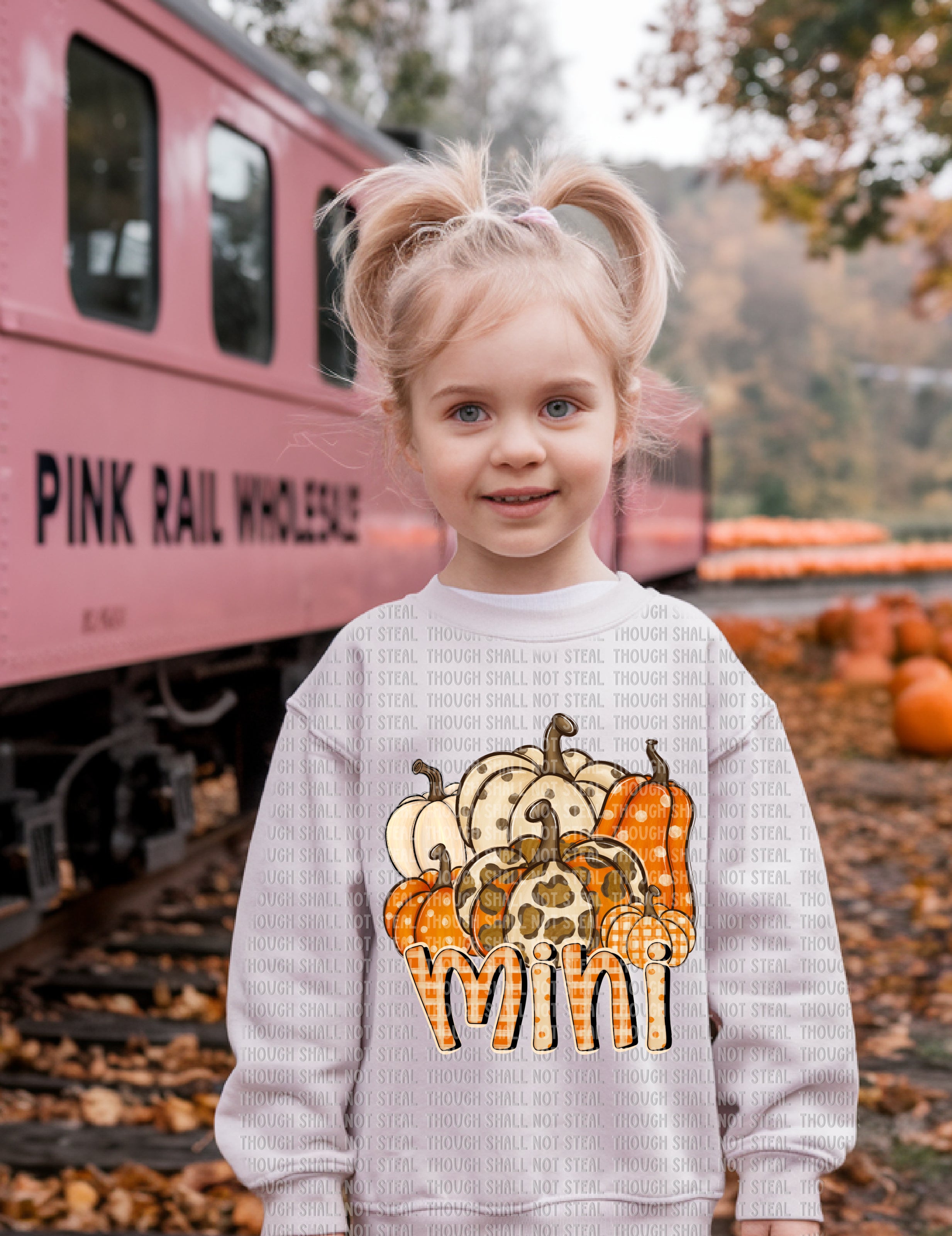 I-90 Fall Pumpkins (Choose Type 1 of 2) DTF TRANSFER ONLY