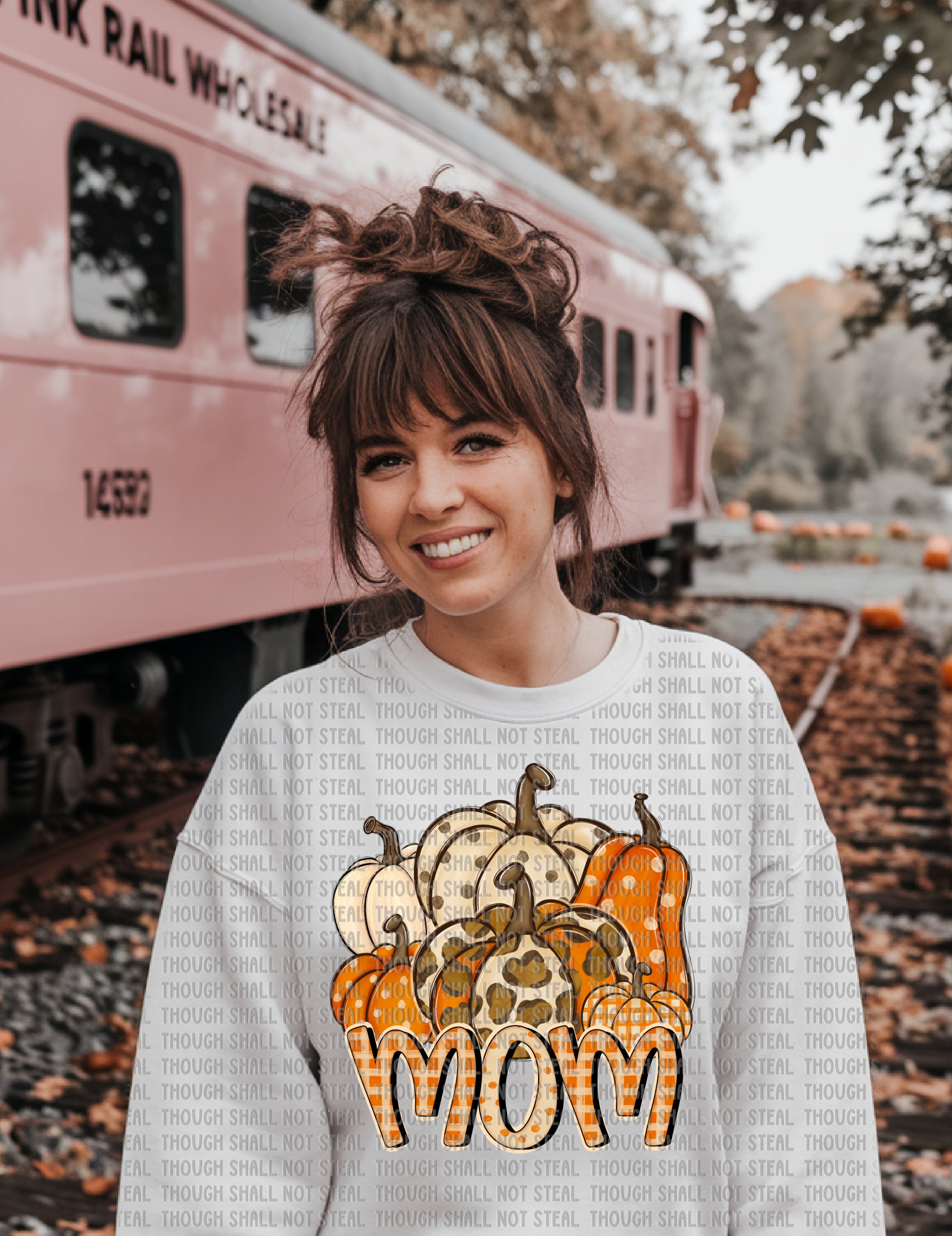 I-90 Fall Pumpkins (Choose Type 2 of 2) Completed Tee