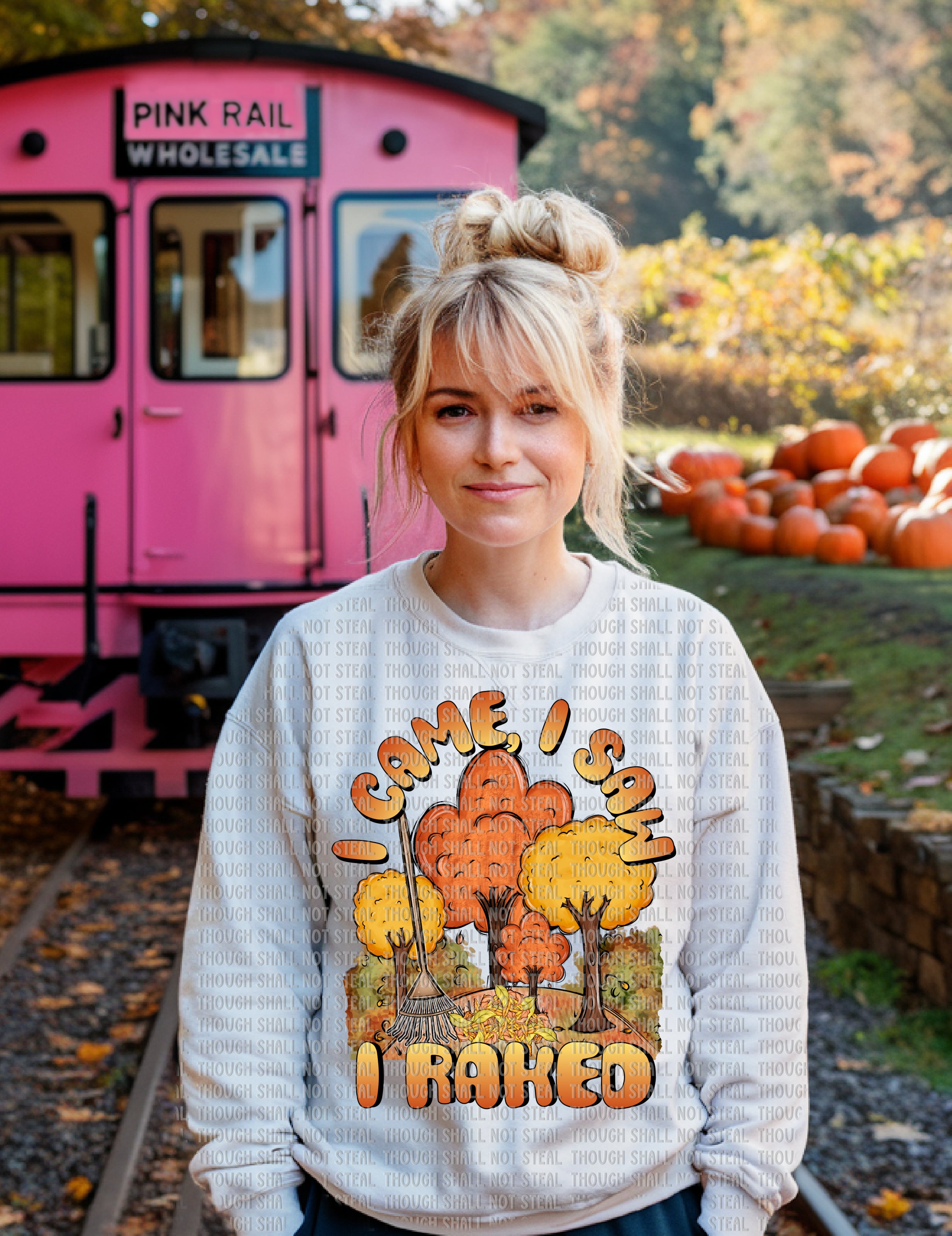 I-91 I Came I Saw I Raked Completed Tee