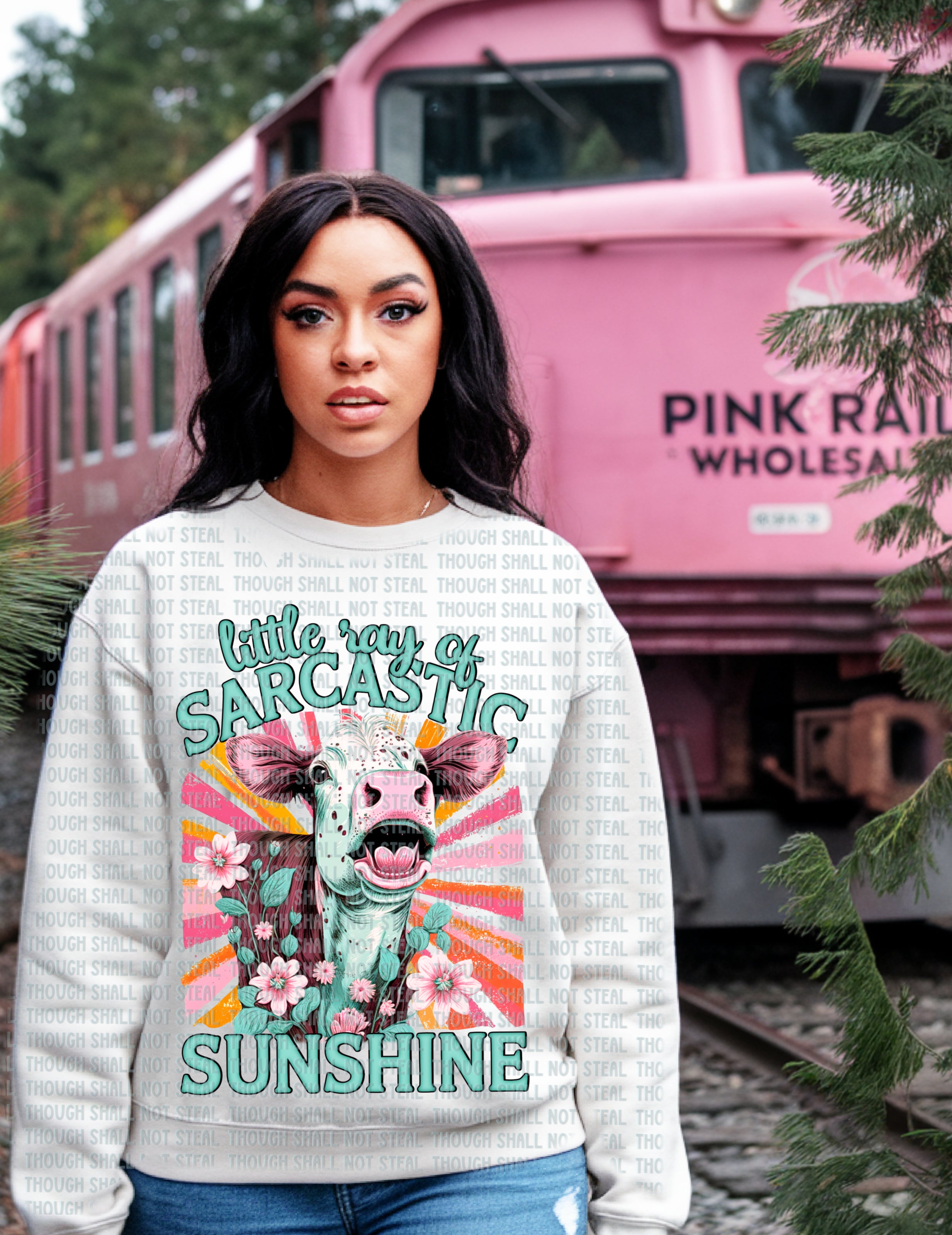 L-315 Little ray of sarcastic sunshine DTF TRANSFER ONLY