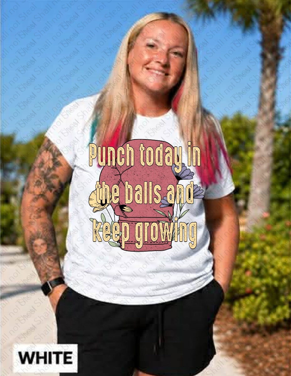 L-342 Punch Today in the Balls and Keep Growing DTF TRANSFER ONLY