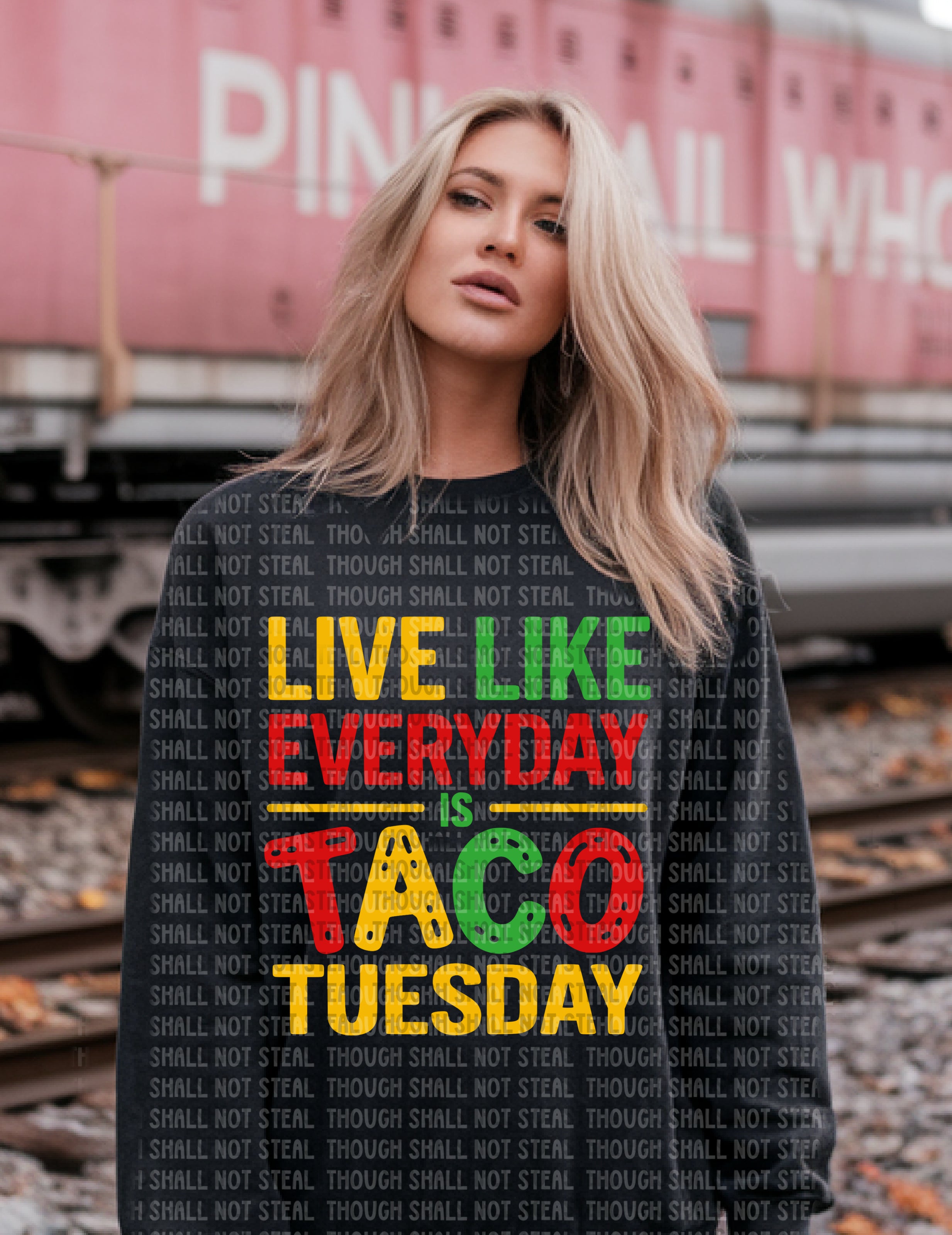 S-16 Live like everyday is Taco Tuesday DTF Transfer ONLY