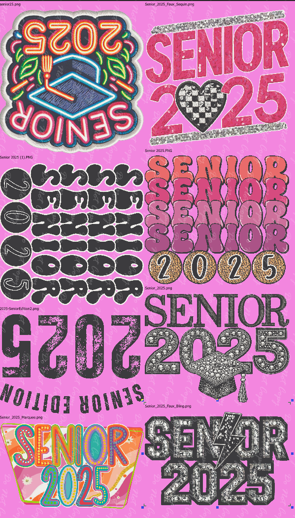 Senior Mini Sheet 2025